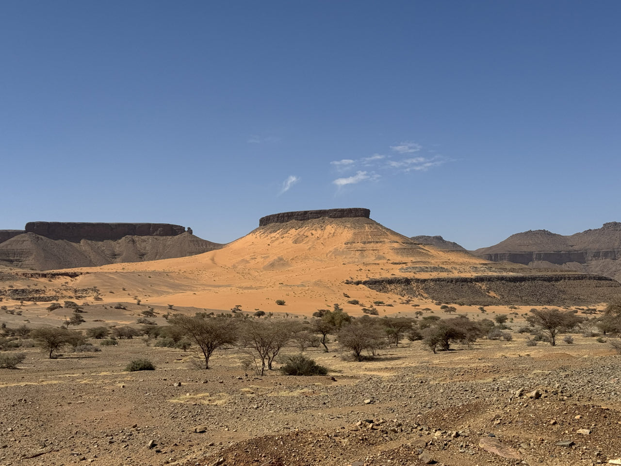 Atar gateway to the Adrar